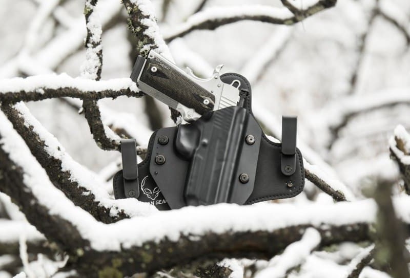 handgun-freeze-alfred-wong