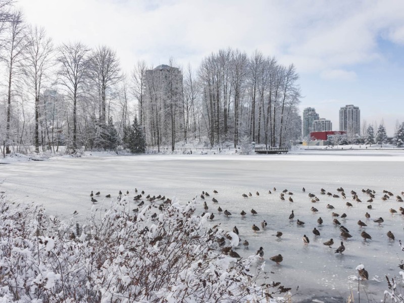 environment goals coquitlam