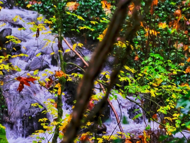 atmospheric river