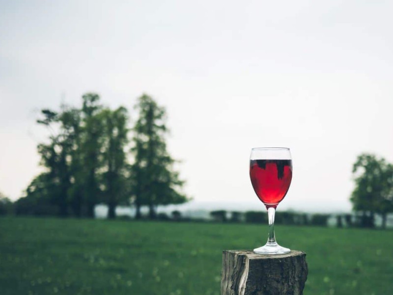 coquitlam-parks-drinking