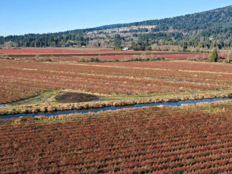 super-dike-minnekhada-agriculture