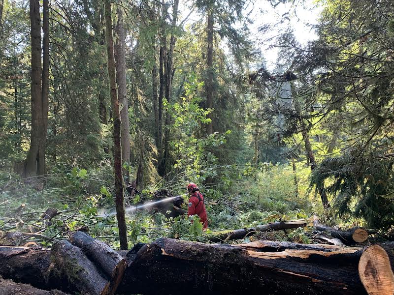 forest-fires-coquitlam