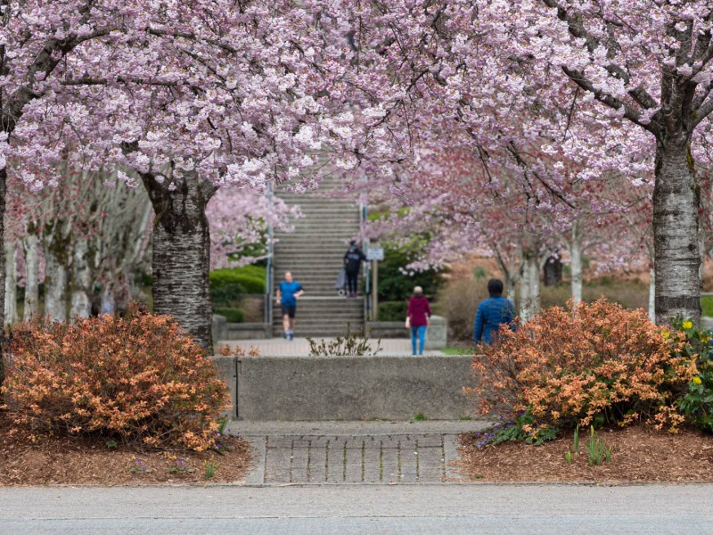 coquitlam-mayor-environment