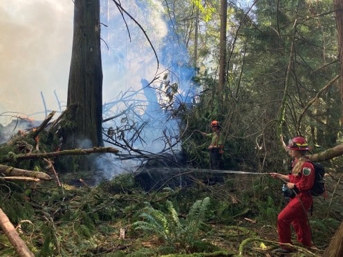 minnekhada-fire-coquitlam