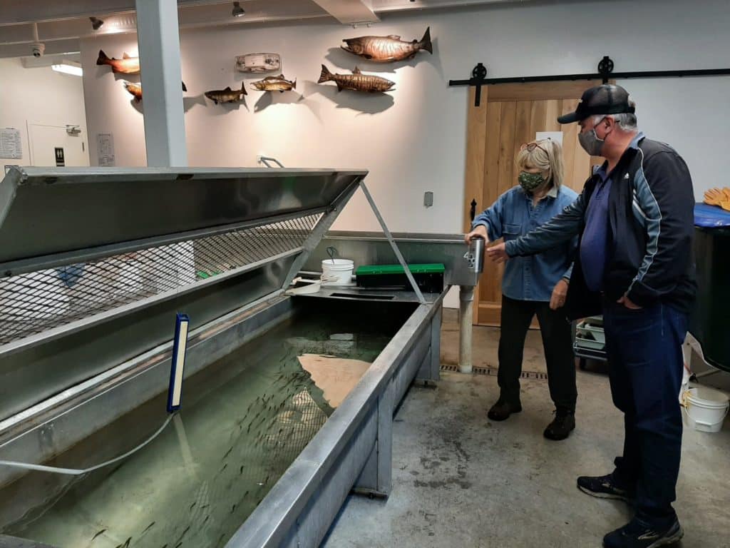 mossom-hatchery-accessible