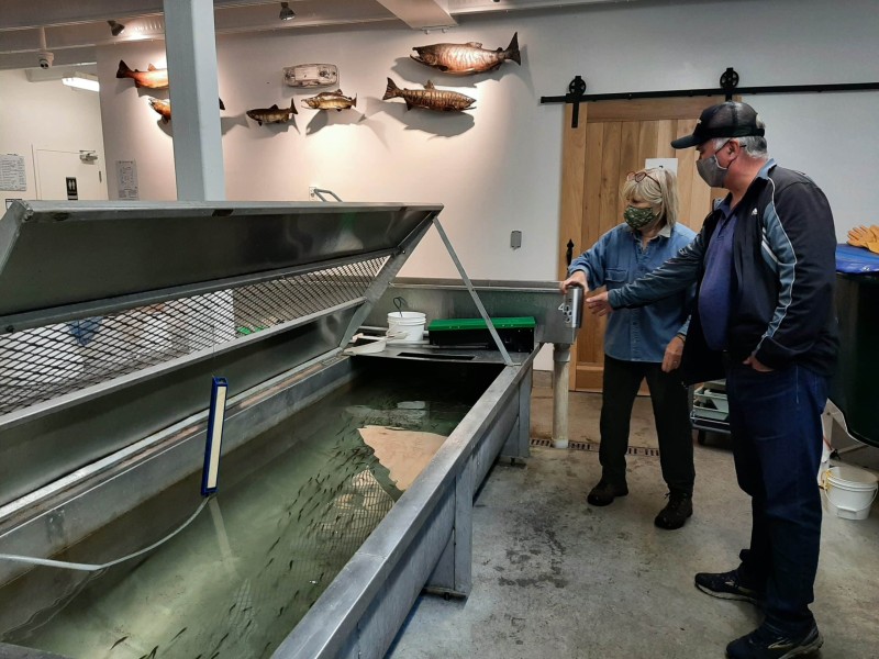 mossom-hatchery-accessible