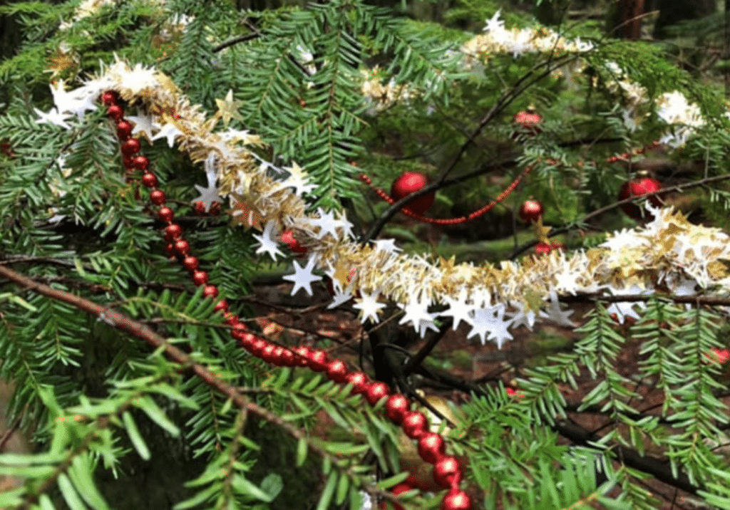christmas-decorations-sacked