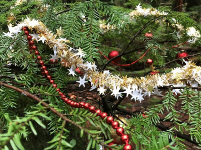 christmas-decorations-sacked