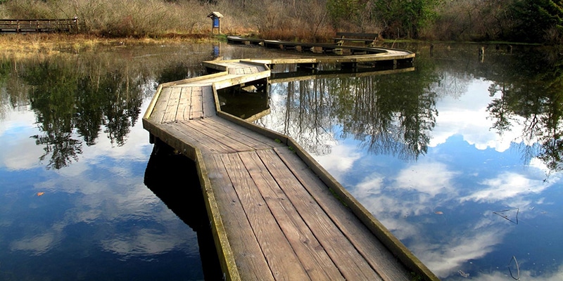 boardwalk-replacement-PortMoody