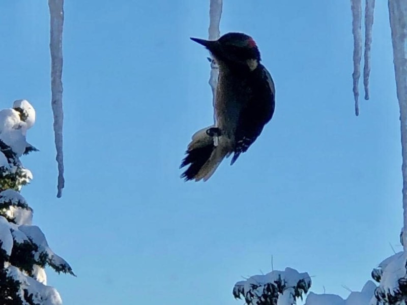 snow-photos-2022