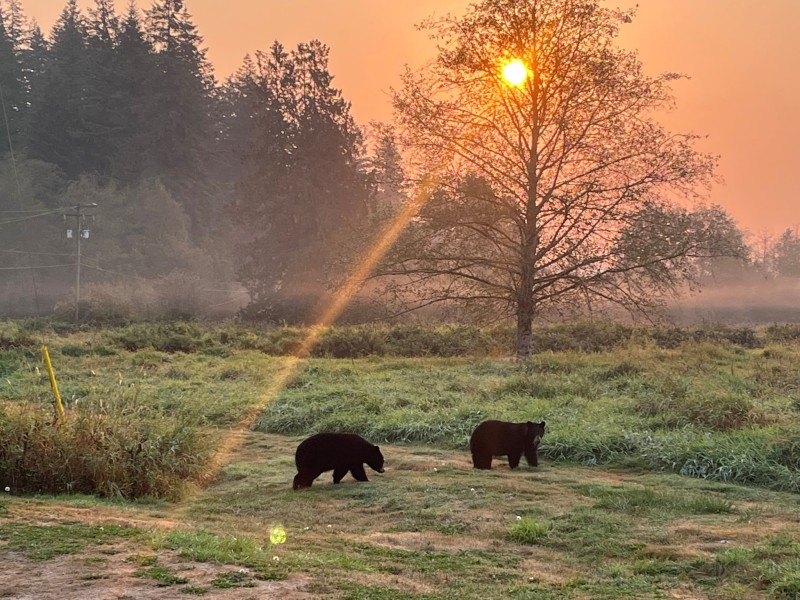 minnekhada-fire-recovery