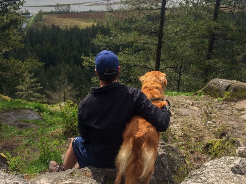 pomo-pet-friendly