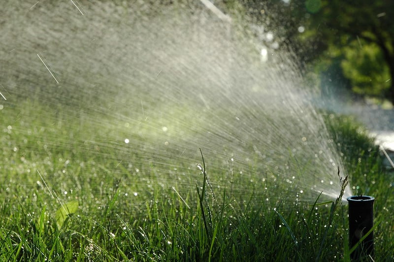 water-restrictions-lawn
