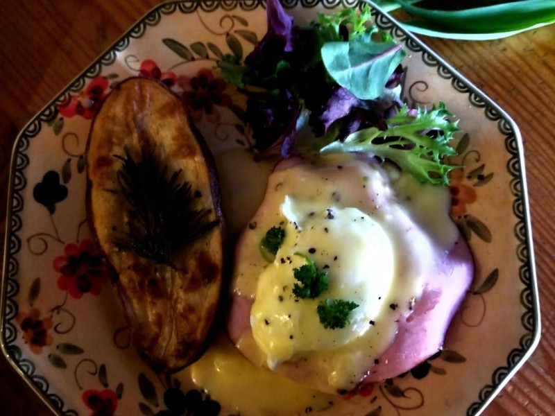 springs-hollandaise-easter