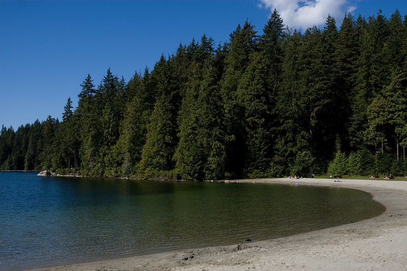 sasamat-near-drowning