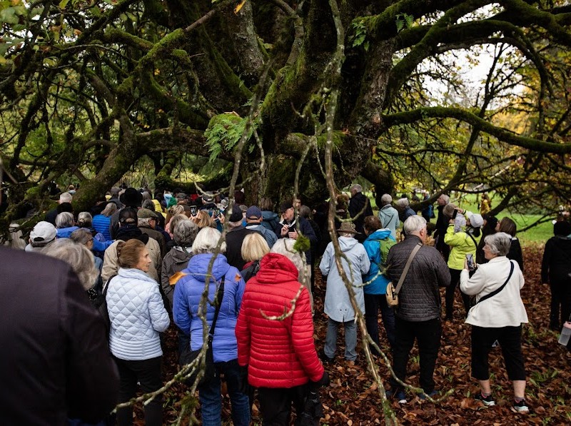 tree-walk-grants