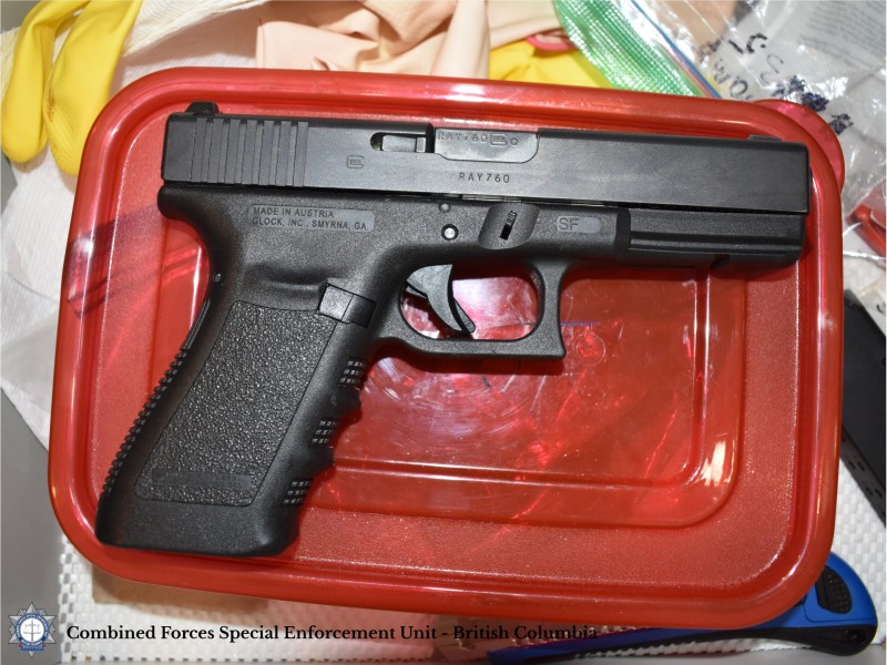 drug-gun-charges-trafficking