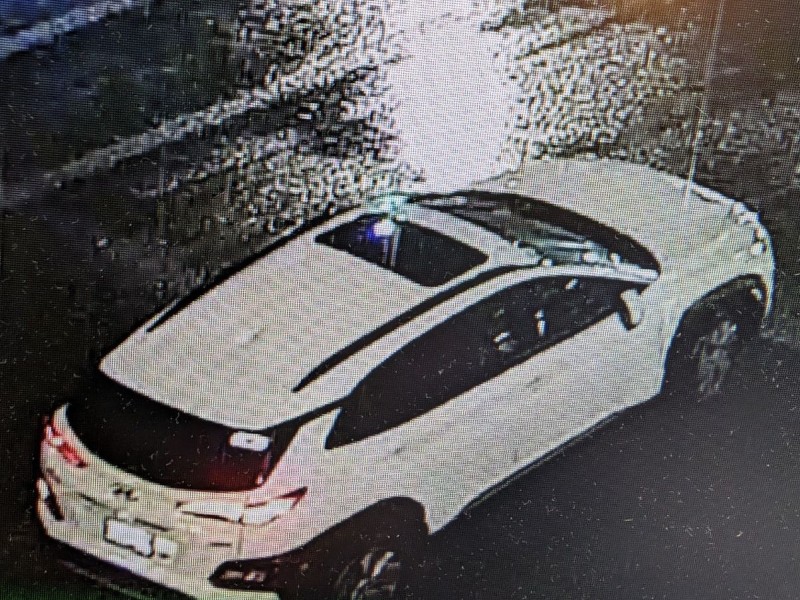 guildford-pinetree-hit-and-runs