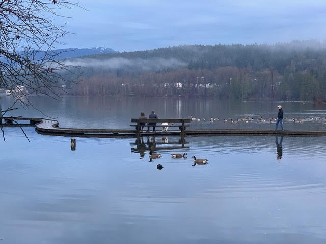 inlet-shoreline-mapping-flooding