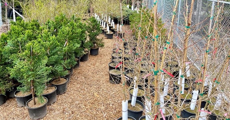 Take-Root-Port-Moody