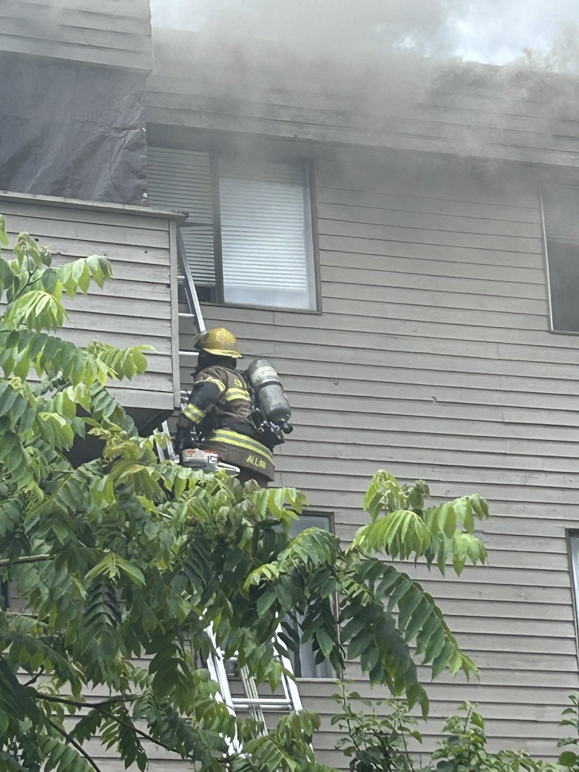wilson-fire-nine-families-displaced