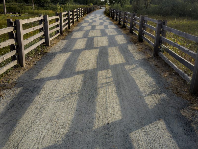 sheep-paddocks-trail-summer-stabilization