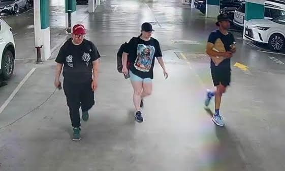 mail-theft-suspect-photos