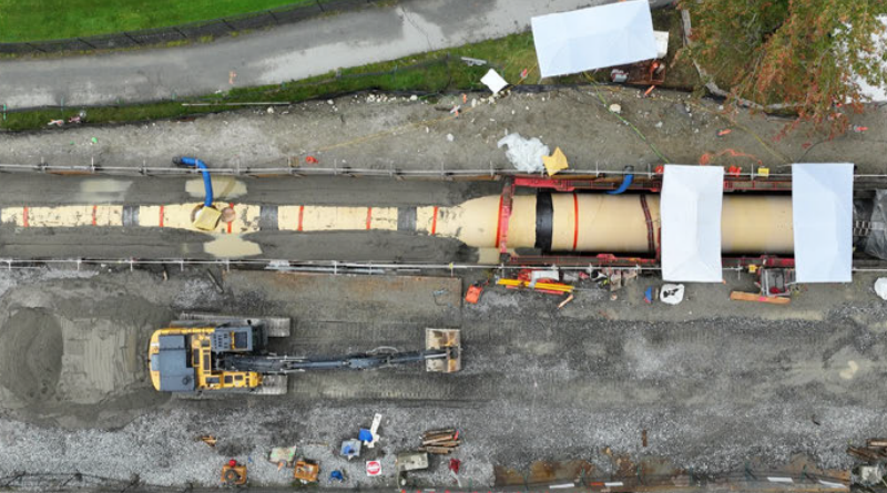 water-main-rat-running