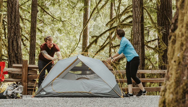 potential-campsites-widgeon