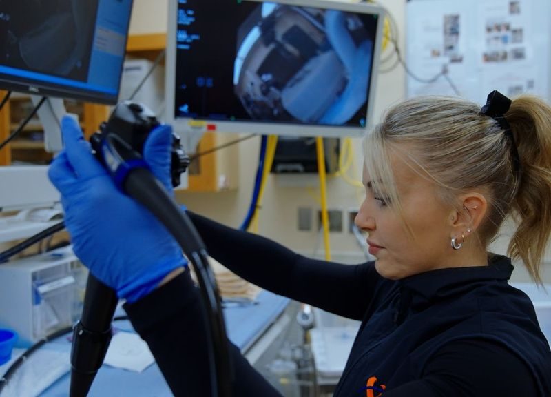 colon-cancer-screening-ai