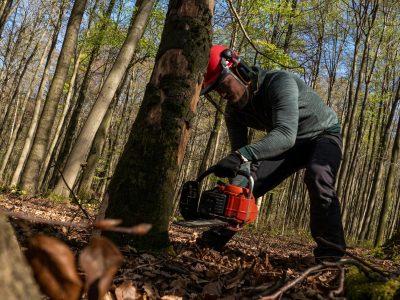 trees-risk-stop-work-moray