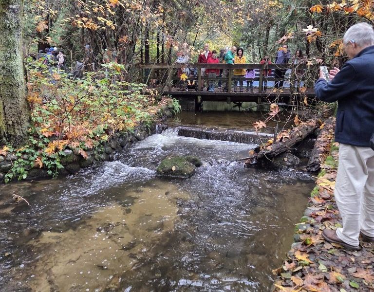 hoy-scott-funding-cuts-hatchery-plans