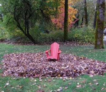 fall-ache-physio-active